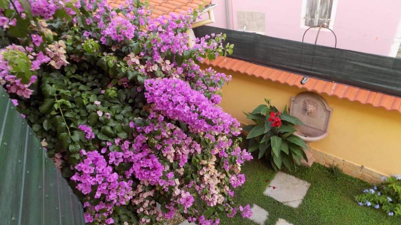 House Justina Villa Zadar Bagian luar foto