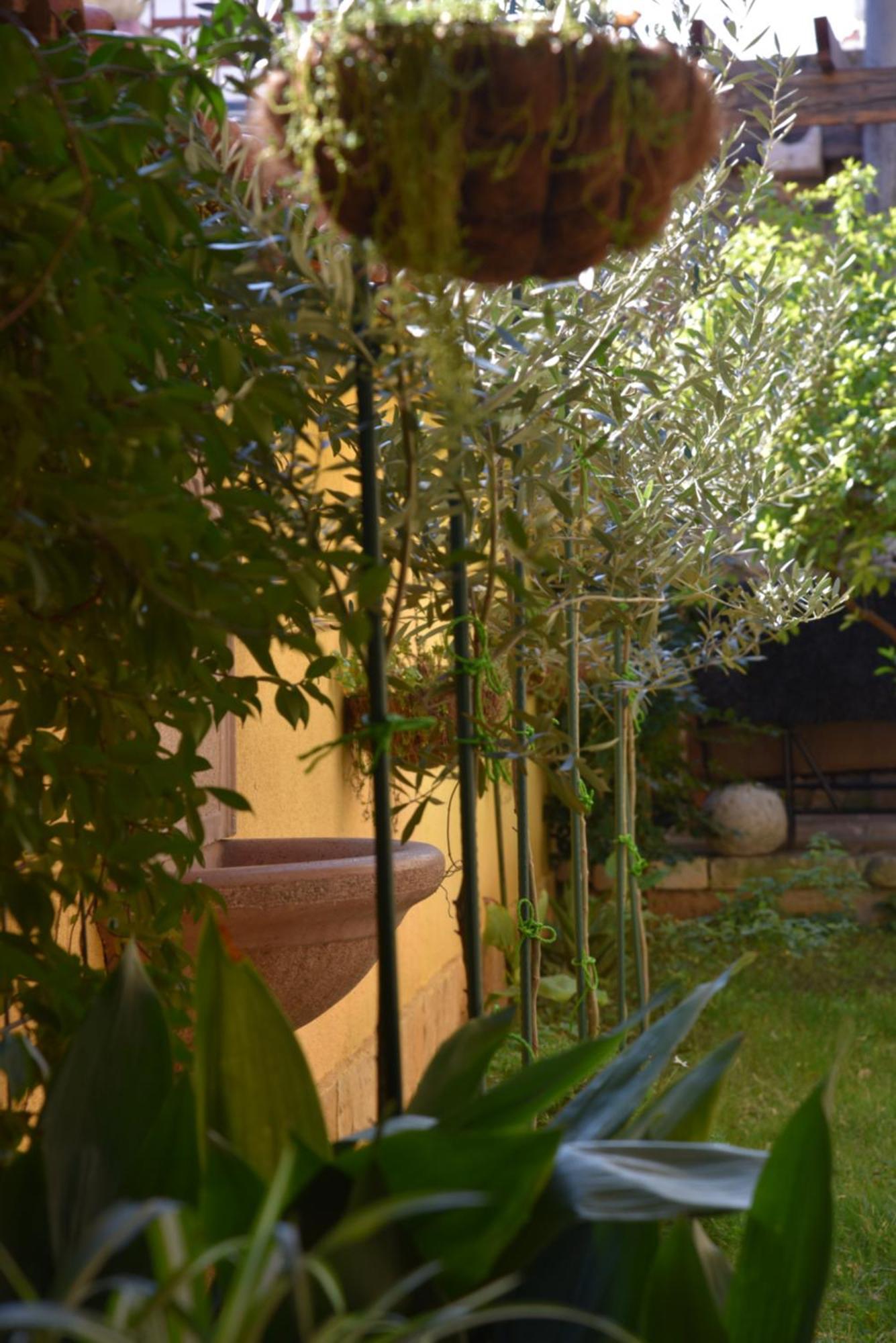 House Justina Villa Zadar Bagian luar foto