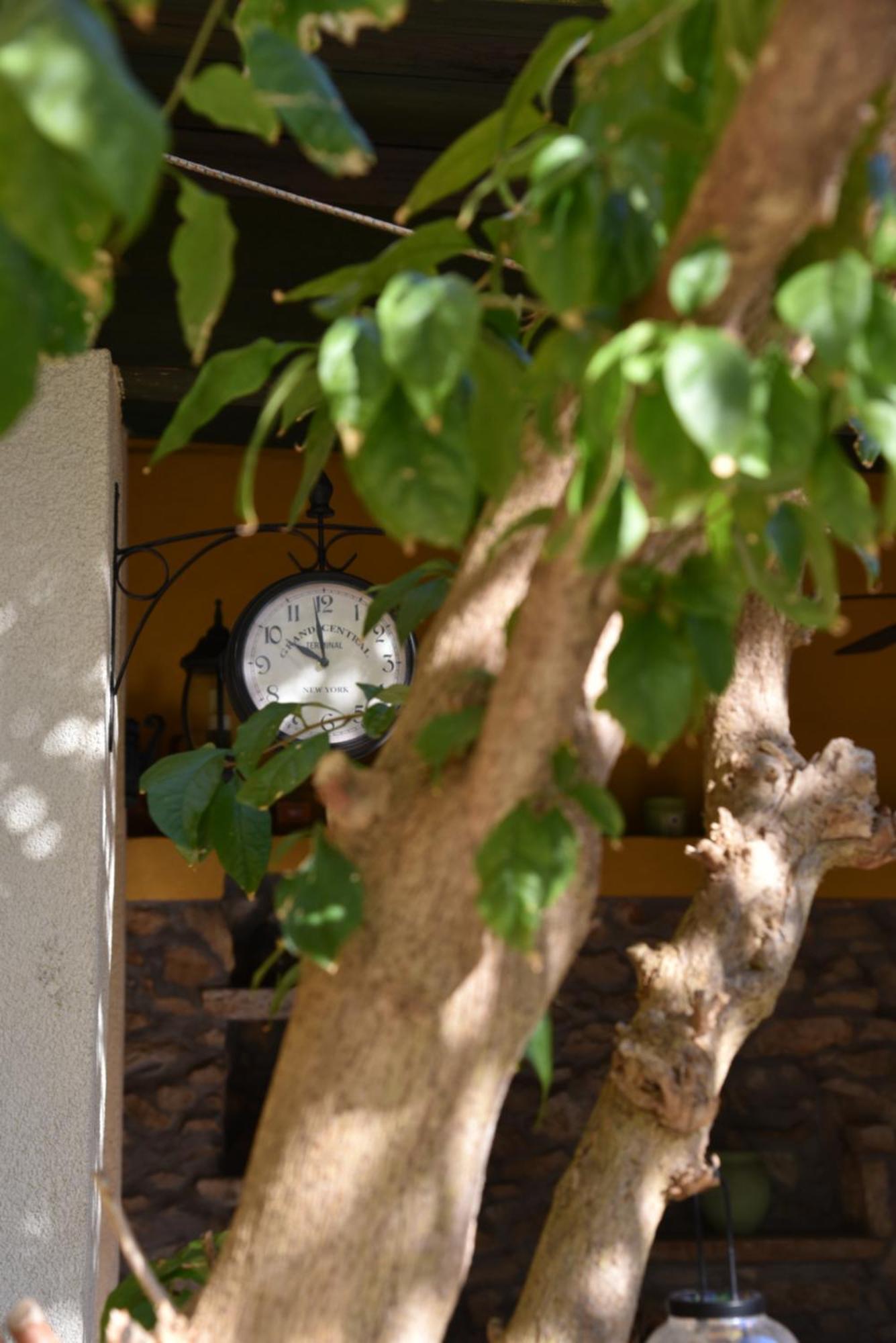 House Justina Villa Zadar Bagian luar foto